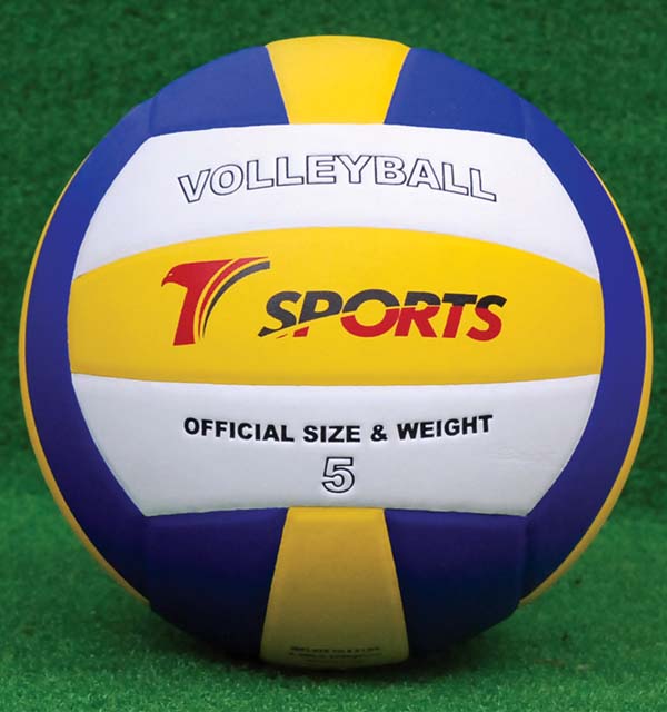 NORMAL PU LEATHER VOLLEYBALL