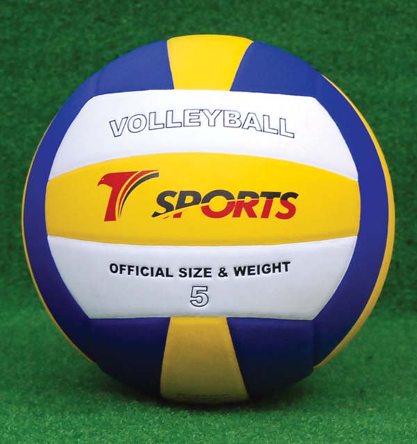 NORMAL PU LEATHER VOLLEYBALL
